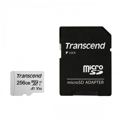 TRANSCEND - Transcend 256GB 300S